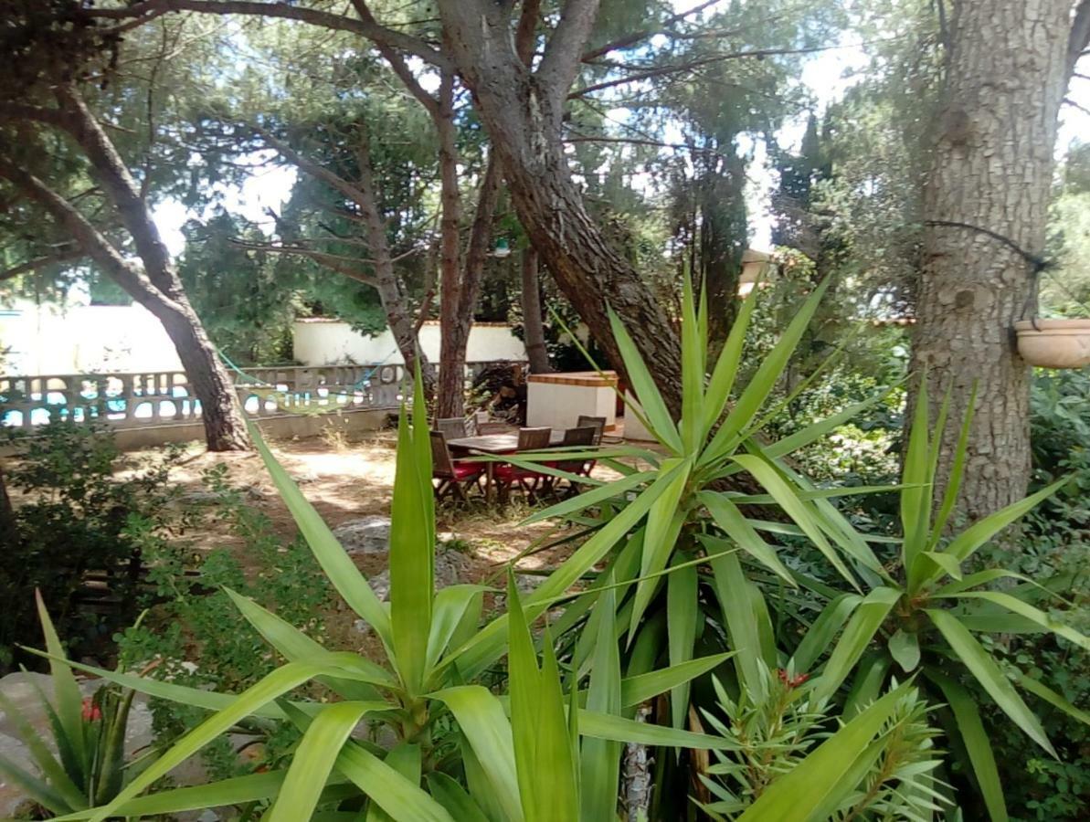 Le Paradis De Valerie Sete Bagian luar foto
